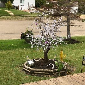 Meet your Posher, Jeanette